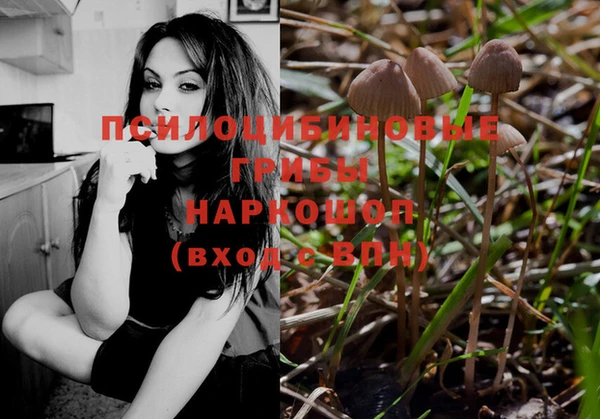 героин Алзамай