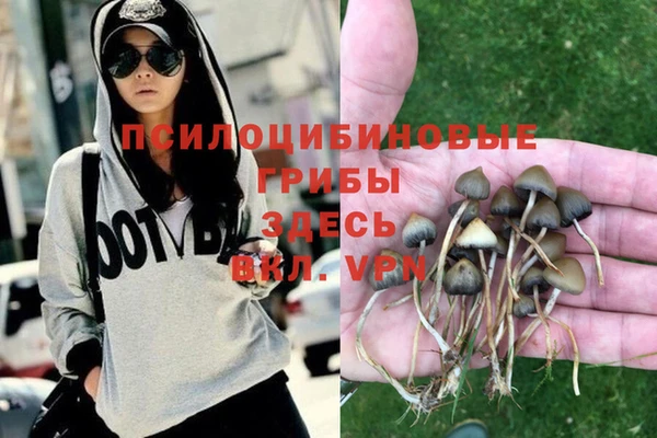 героин Алзамай
